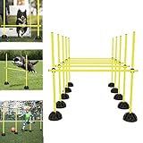 LZQ Sprungstangen-Set Agility Hürdenset Trainingsstangen für Sprungkraft, Dribbling und Beweglichkeit Ideal für den Vereins- oder Schulsport, Gelb